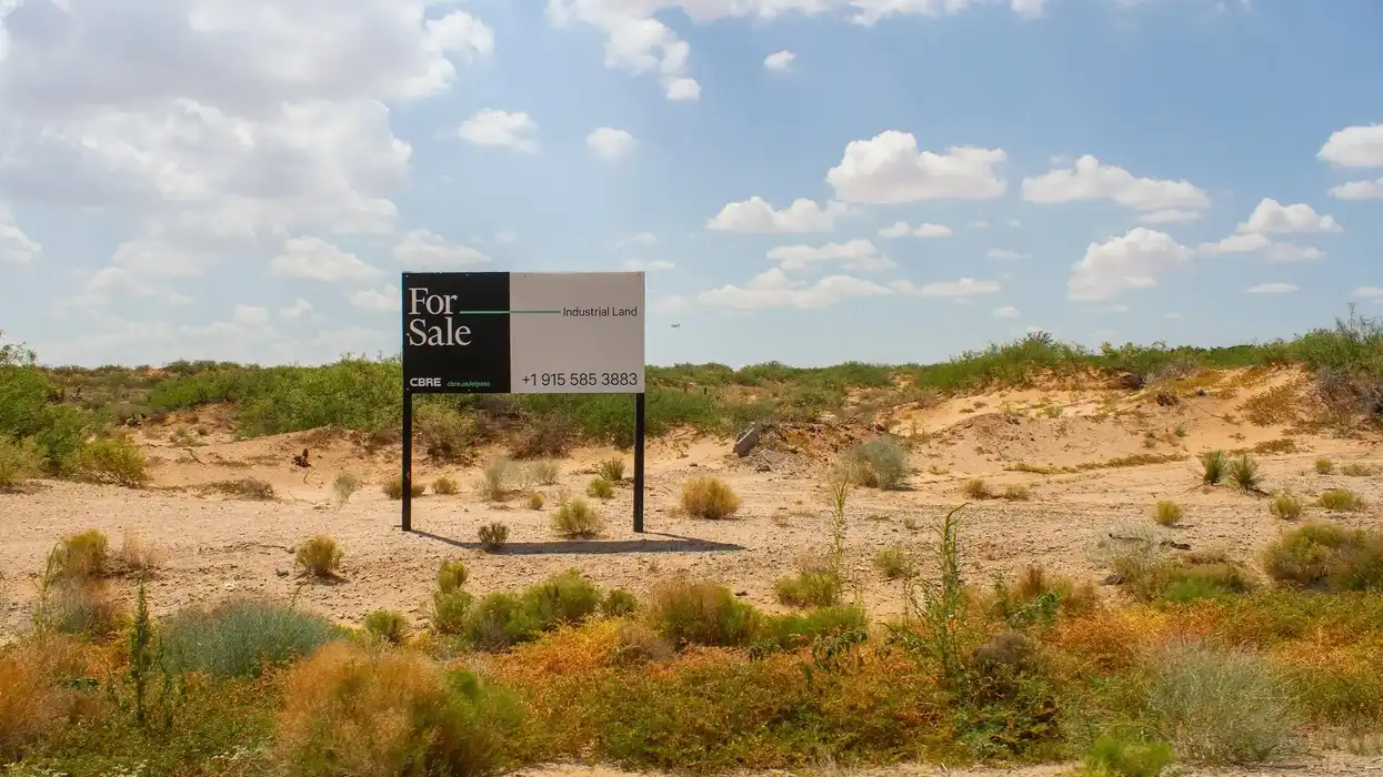 The Desert's Thirsty New Neighbor