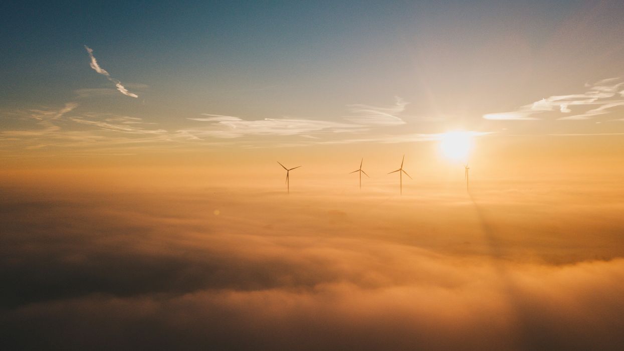 We Can Save Our Earth: Environment Opportunities 2025