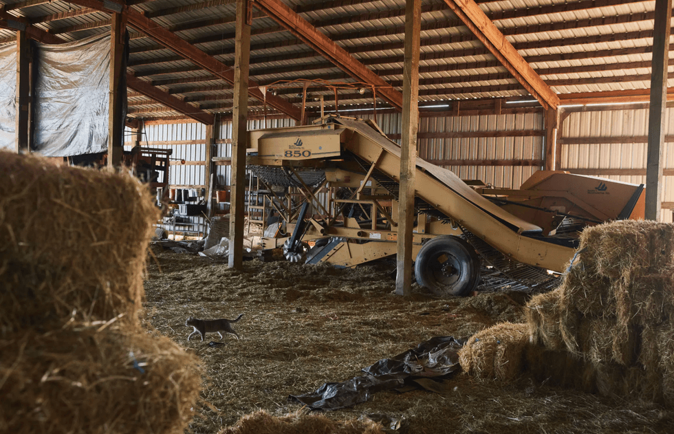 A potato harvester in the barn at the Casad family farm has been idle for four years. The children now use it as a slide. Leah Nash for ProPublica