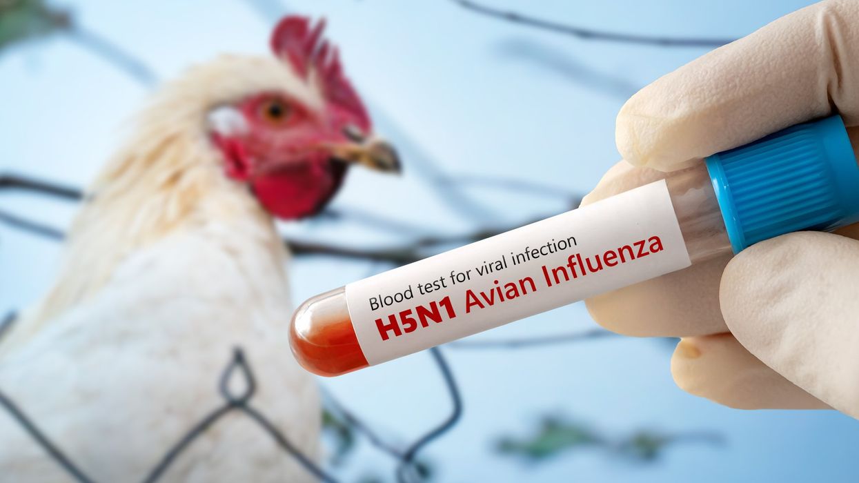 Bird Flu and the Battle Against Emerging Diseases