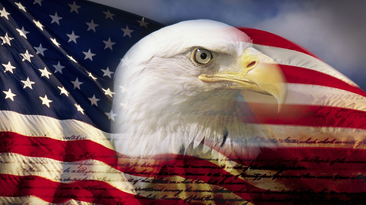American flag covered by a bald eagle