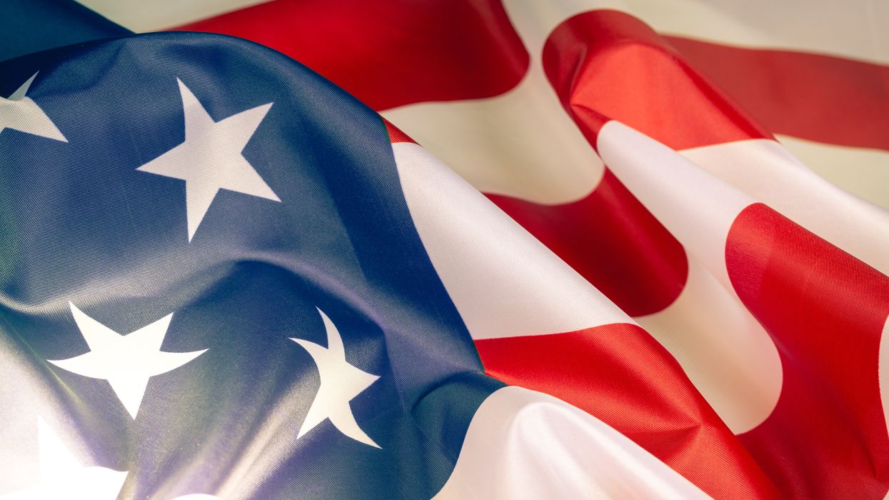 Safeguarding Democracy: Addressing Polarization and Institutional Failures