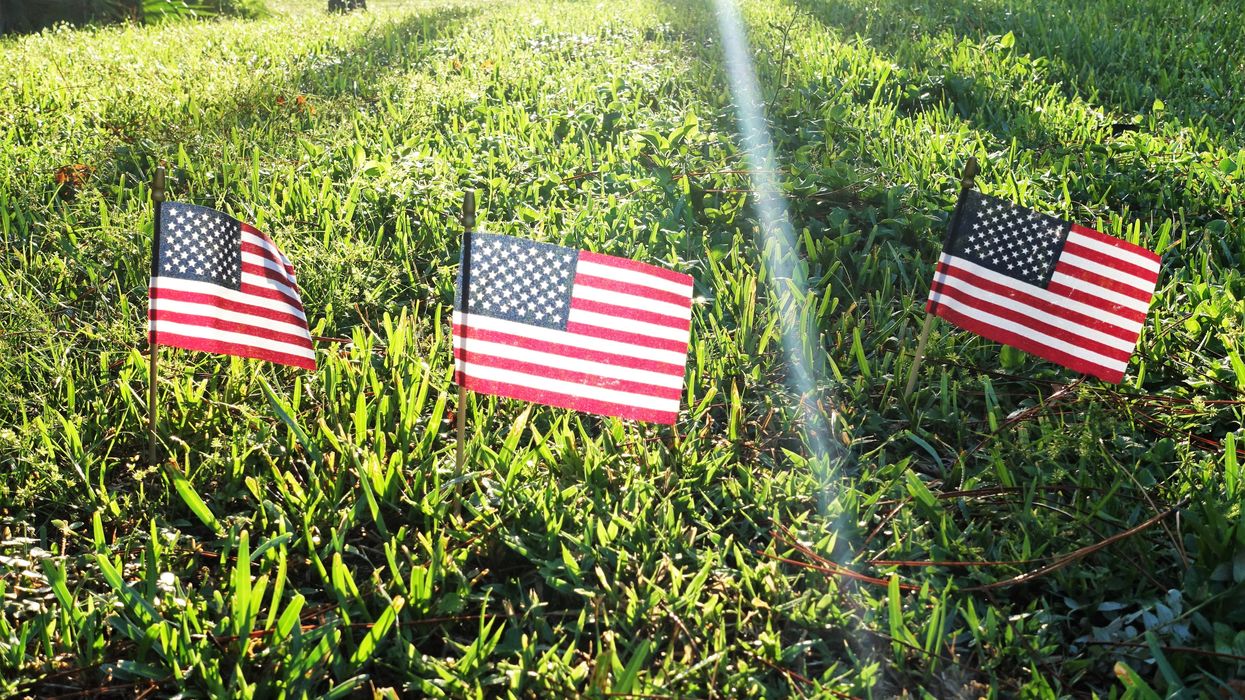 American flags surrounded by grass