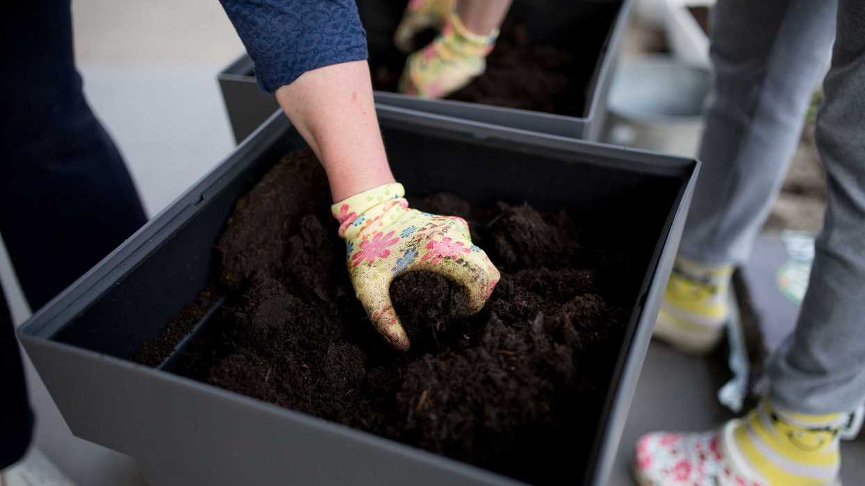 How Composting Connected Two Women Across Six Decades