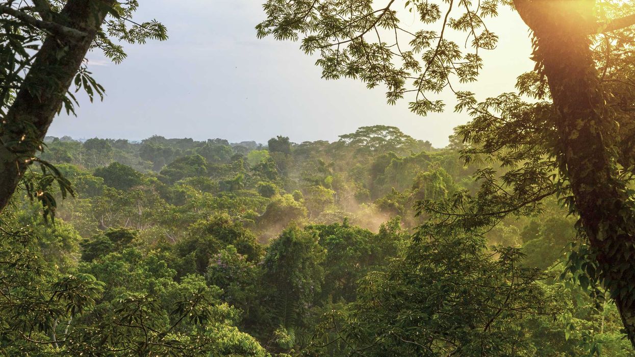 The Critical Value of Indigenous Climate Stewardship