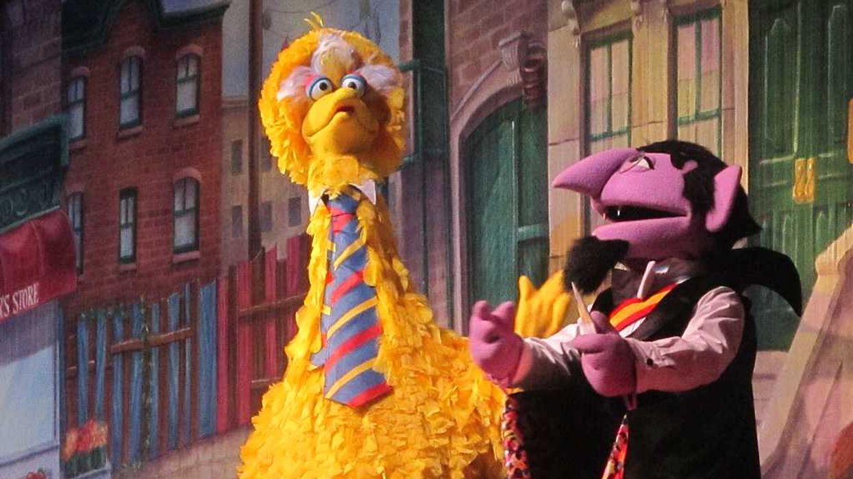 Barney, Big Bird, and Immigrant Children Need You!