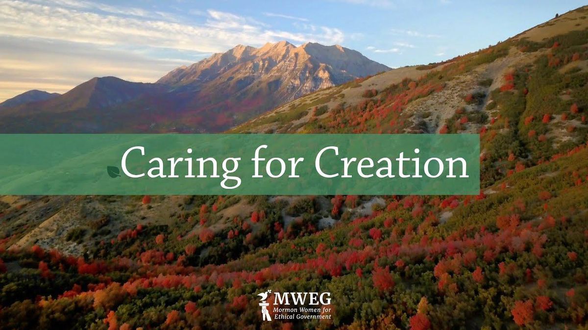 Video: Caring for Creation