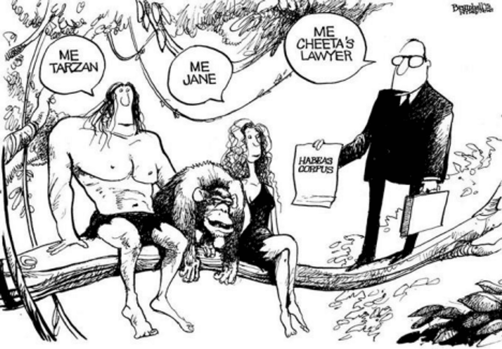 cartoon
