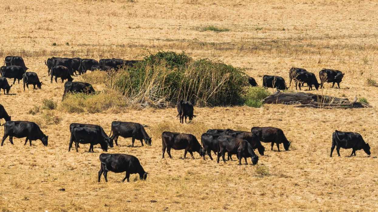 Jim Magagna: A Voice for Wyoming’s Ranching Community