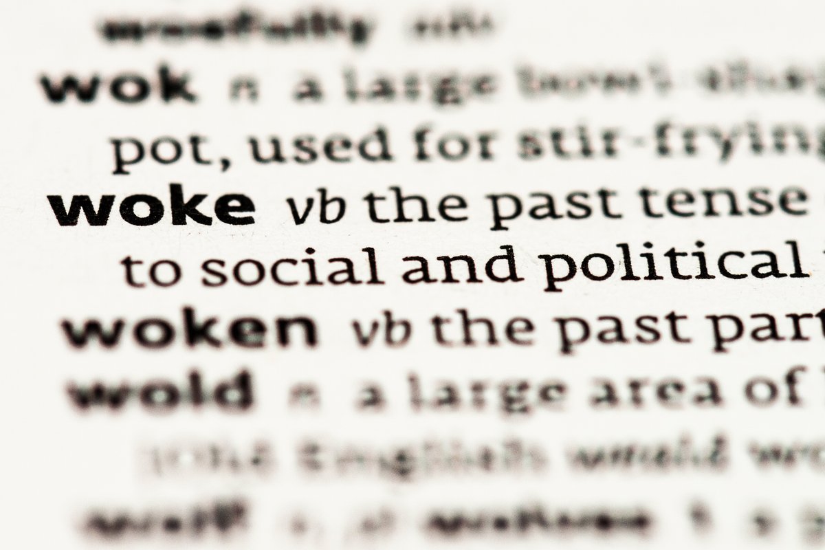 Close-up of "woke" entry in dictionary