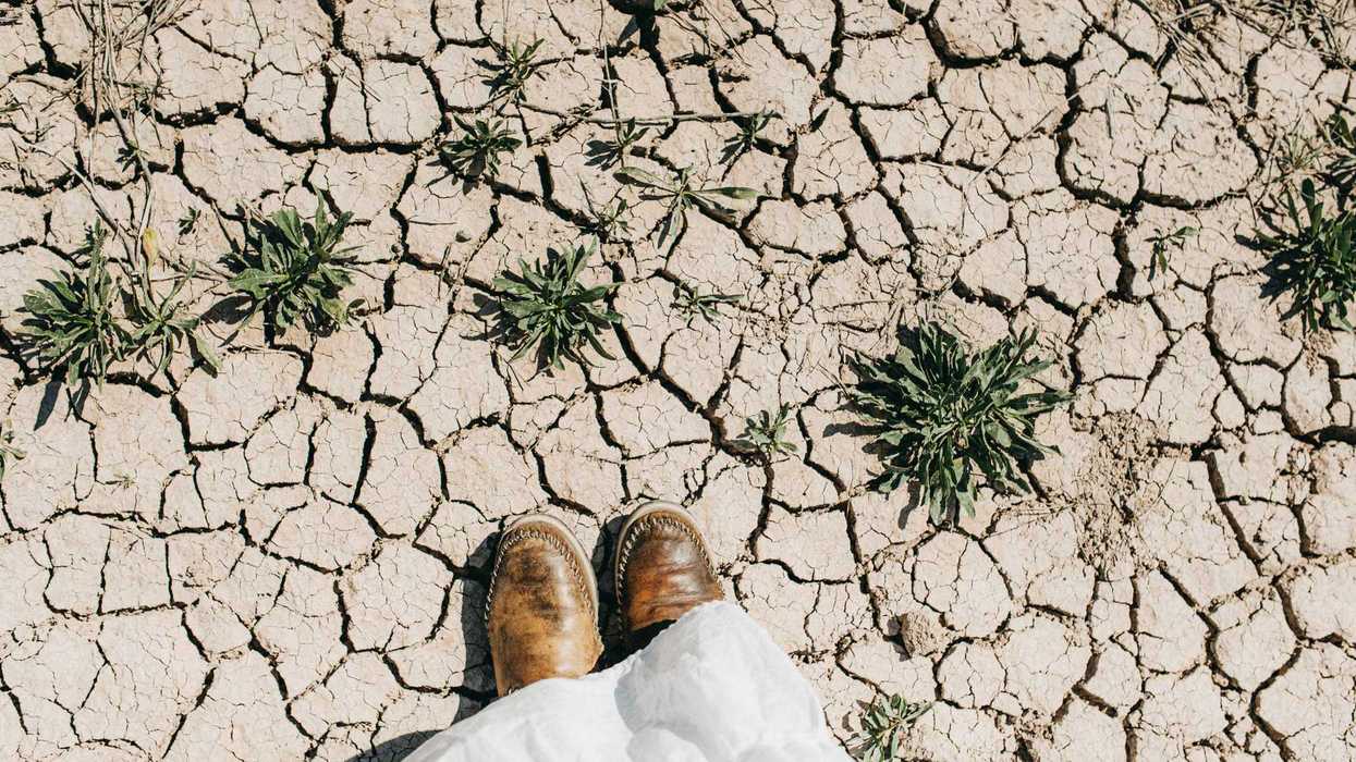 Cracked Dry Earth - stock photo A pair of worn brown boots stand on cracked, dry earth. Sparse green plants struggle to grow amidst the barren landscape, creating a stark contrast.