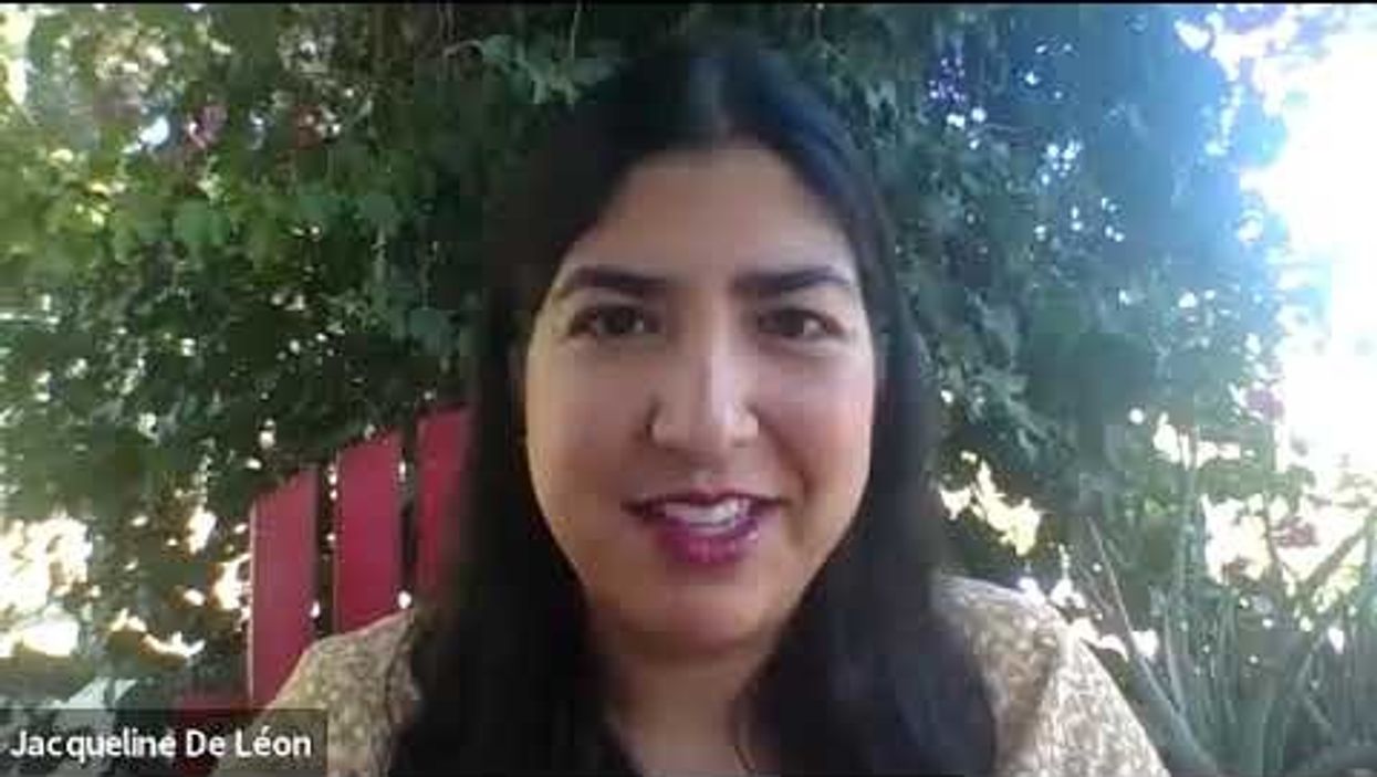 Webinar Rewind: Diversity in the democracy reform movement