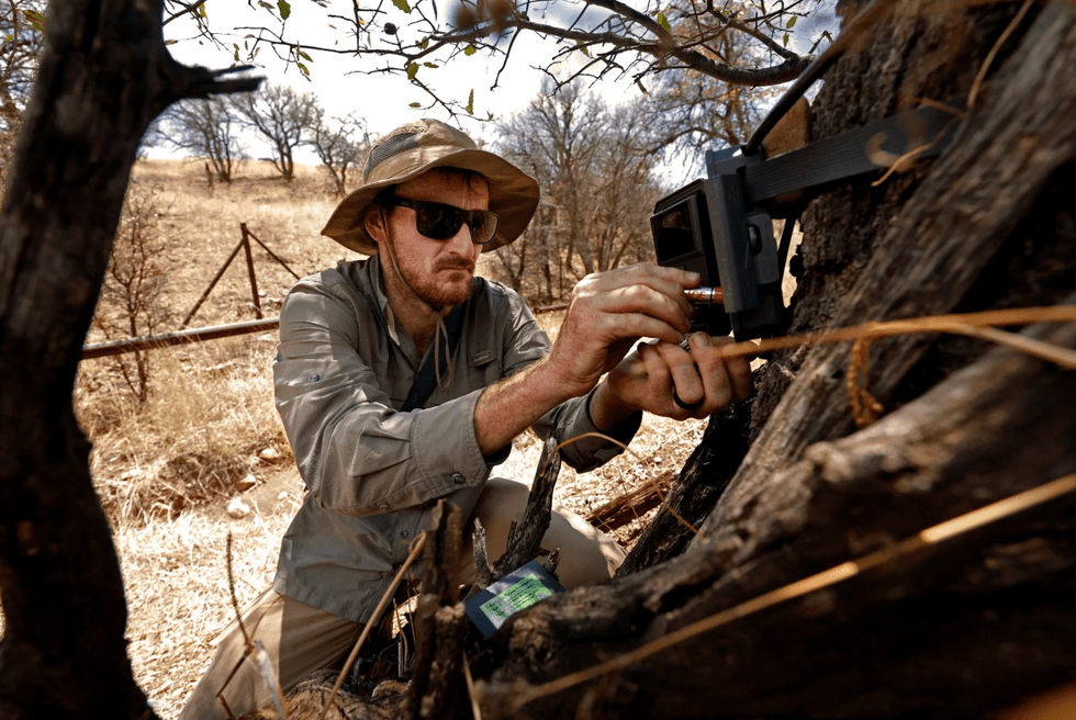 Eamon Harrity, a wildlife program manager for conservation nonprofit Sky Island Alliance, replaces the batteries for a camera trap in the San Rafael Valley in Arizona