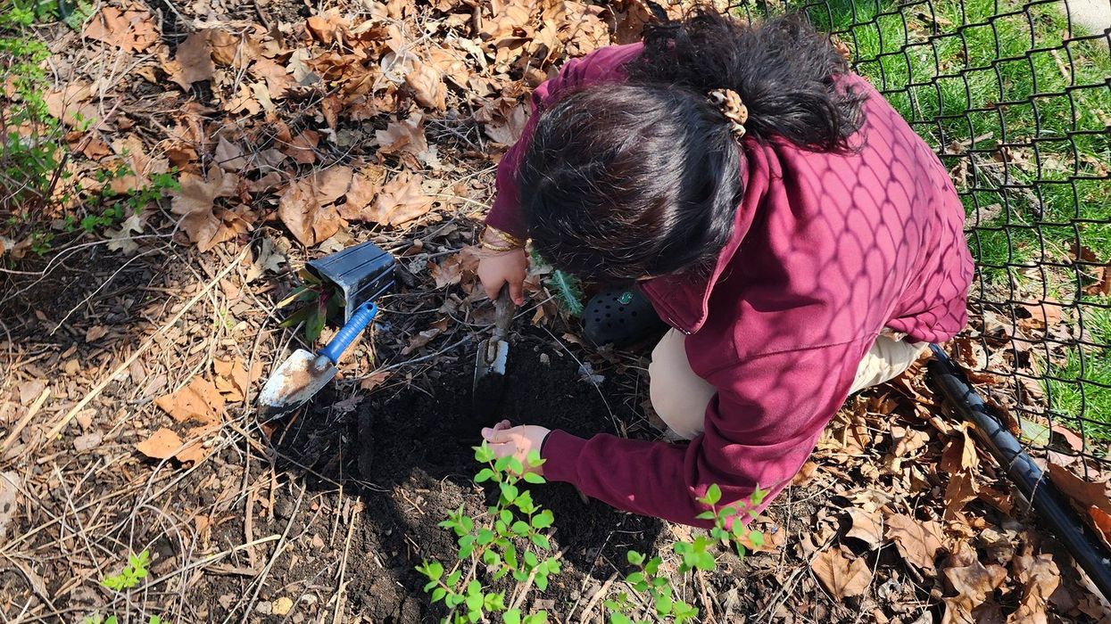Berwyn, Illinois, and Edinburg, Texas, Share Ideas About Enhancing Civic Engagement