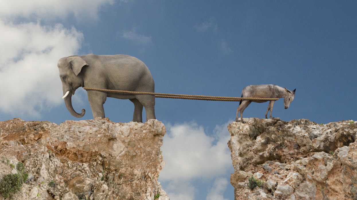 Elephant and donkey playing tug-of-war over a cliff