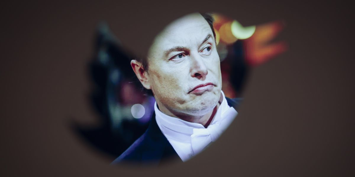 Elon Musk, First Amendment