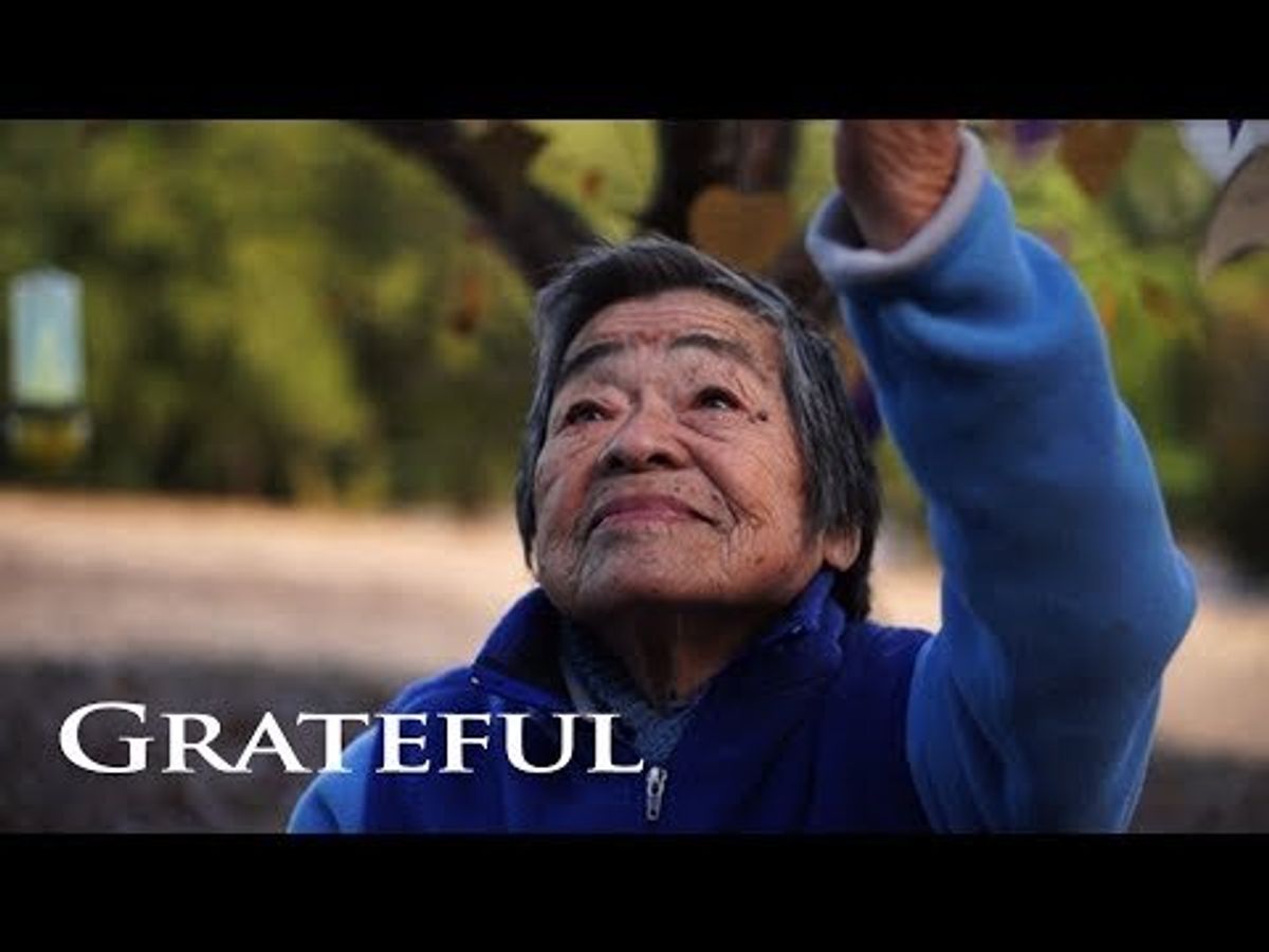 Video: Share gratitude this Thanksgiving