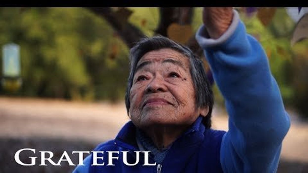 Video: Share gratitude this Thanksgiving