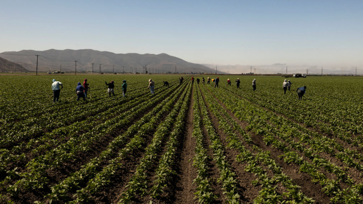 Agribusiness and Hospitality Sectors, Threatened by Deportations, Poured Millions Into Republican Victories