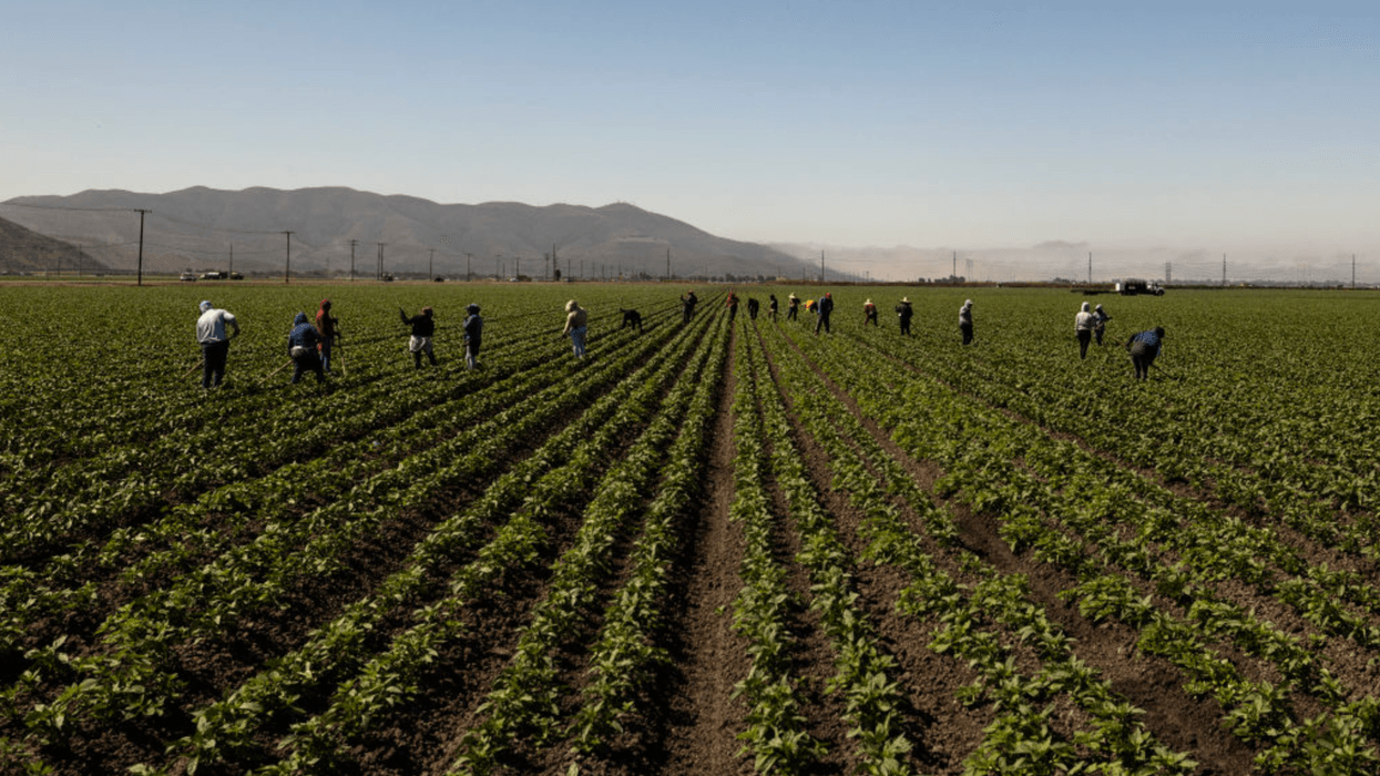Agribusiness and Hospitality Sectors, Threatened by Deportations, Poured Millions Into Republican Victories