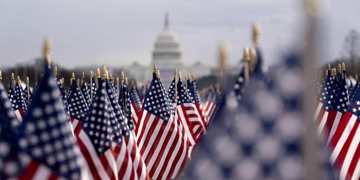 Flags in front of the Capitol