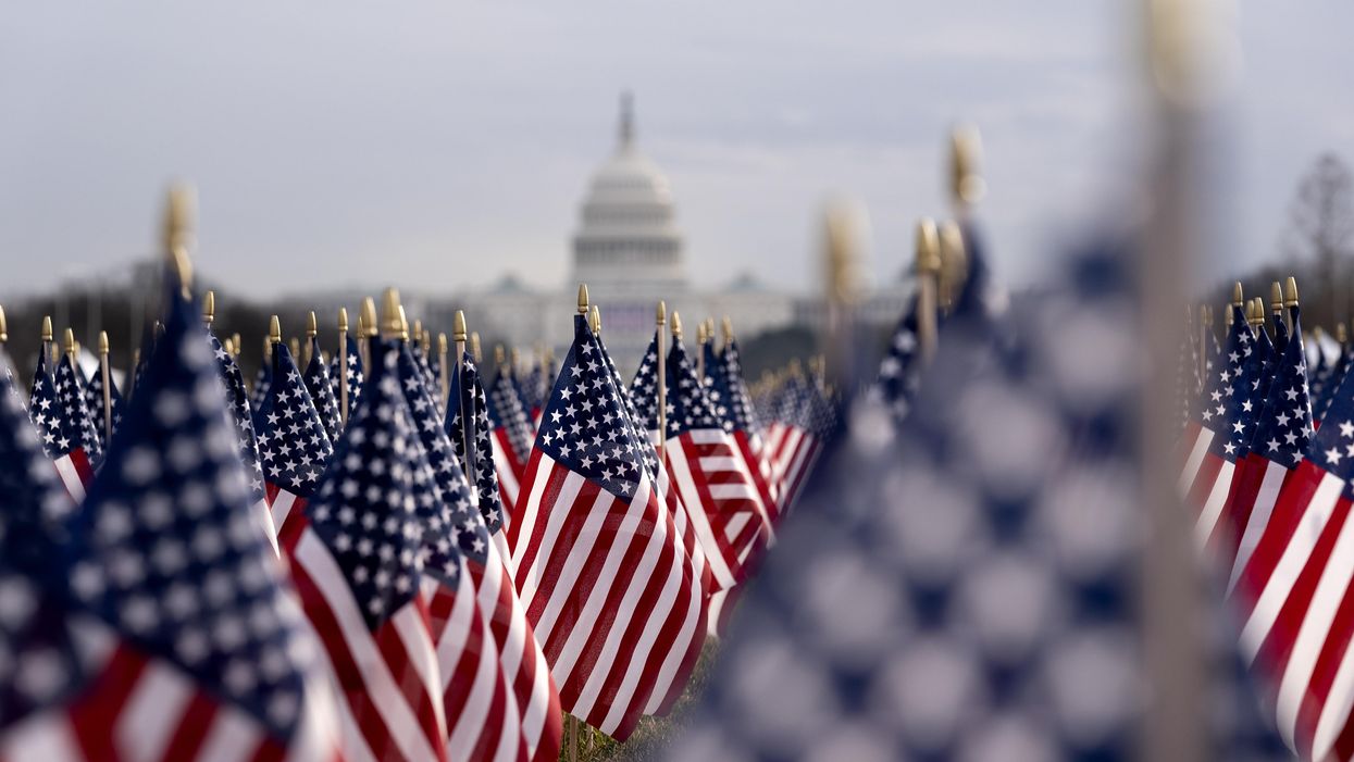 Flags in front of the Capitol