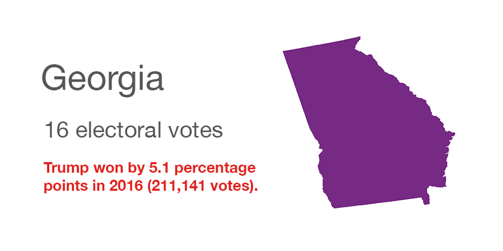 Georgia vote data