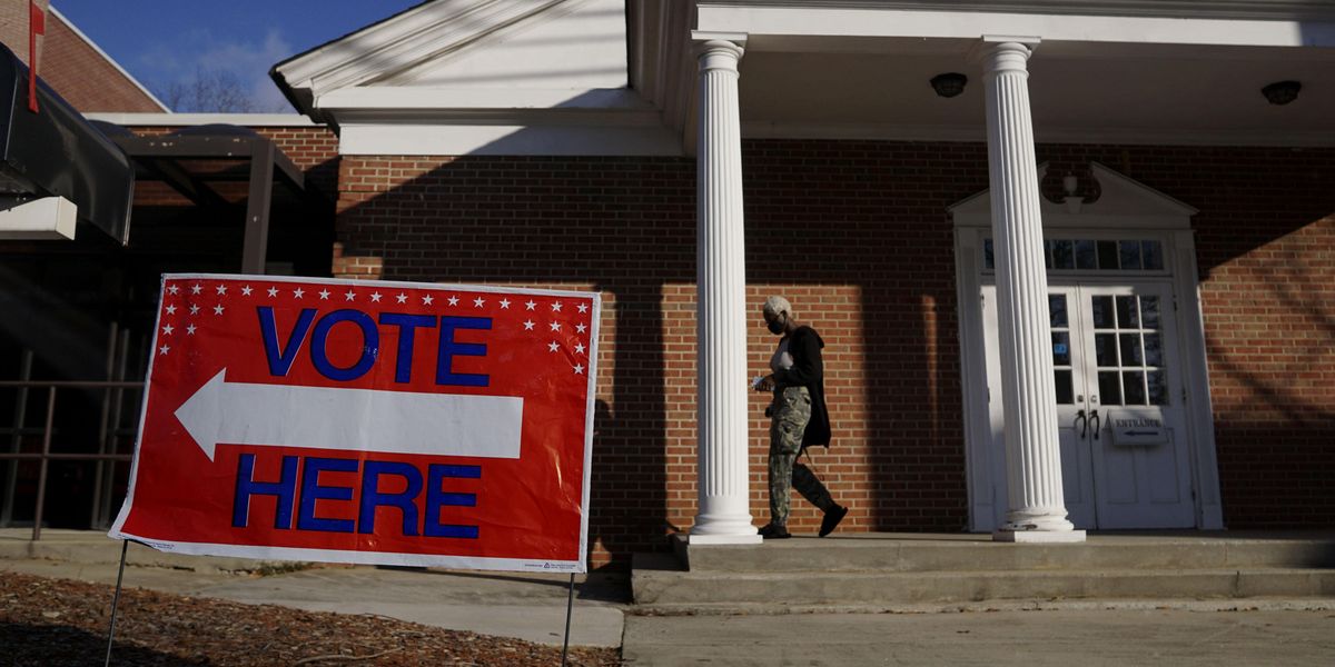 Georgia voter