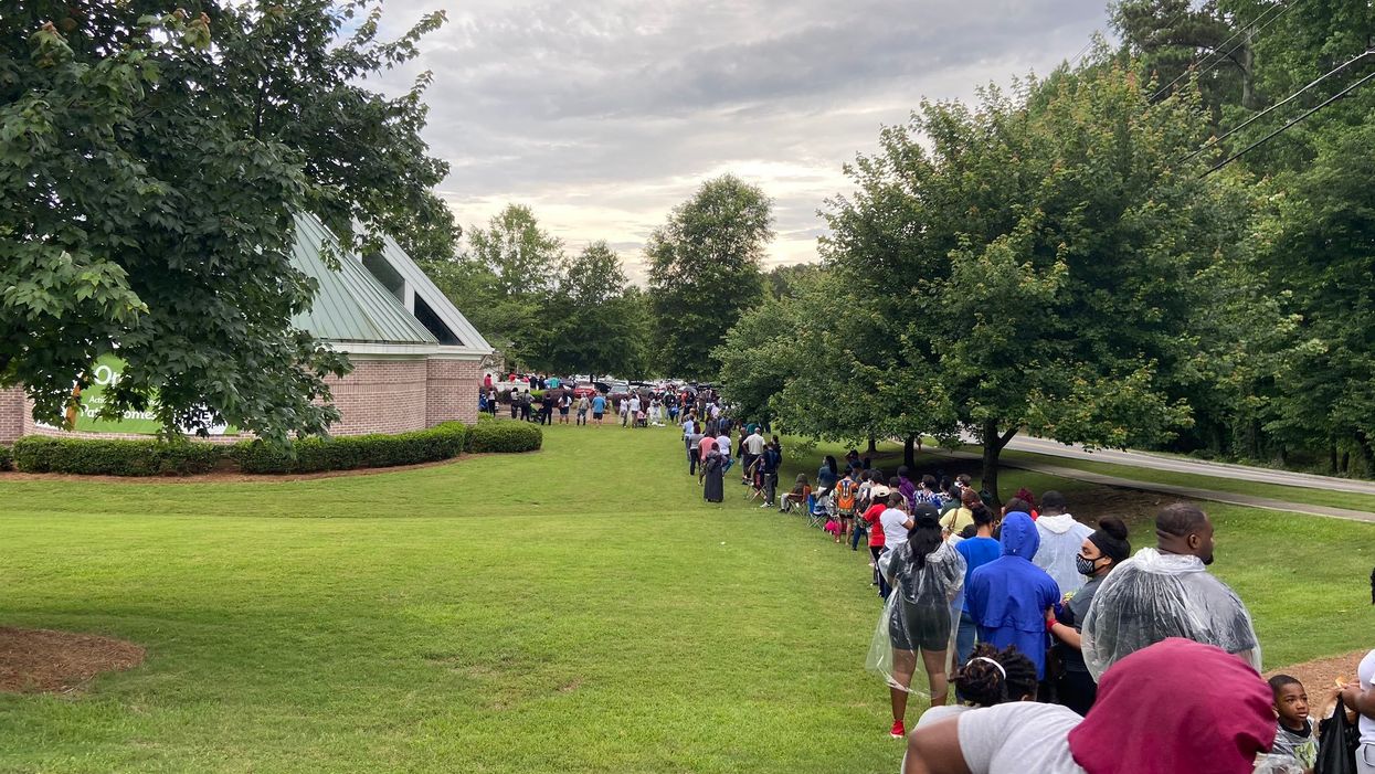 Georgia voting