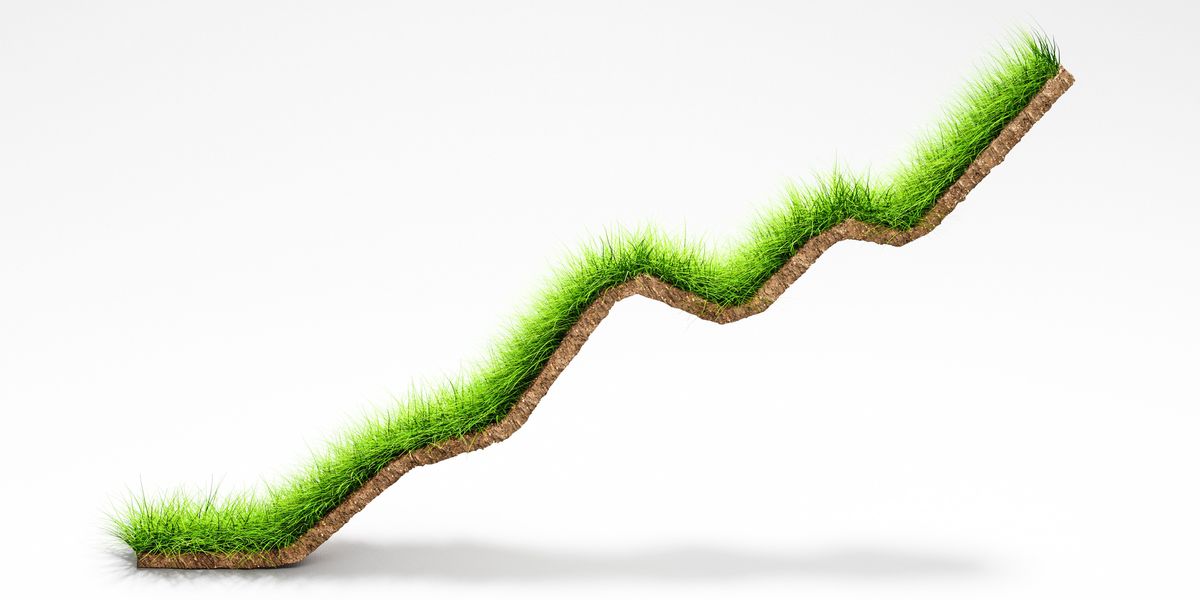 Grass desinged to look like a line graph trending upward