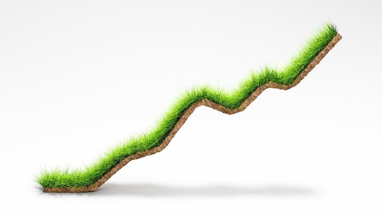 Grass desinged to look like a line graph trending upward