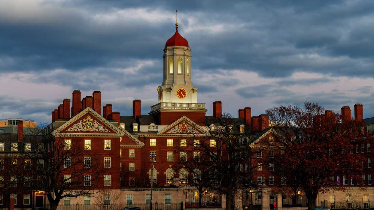 harvard university