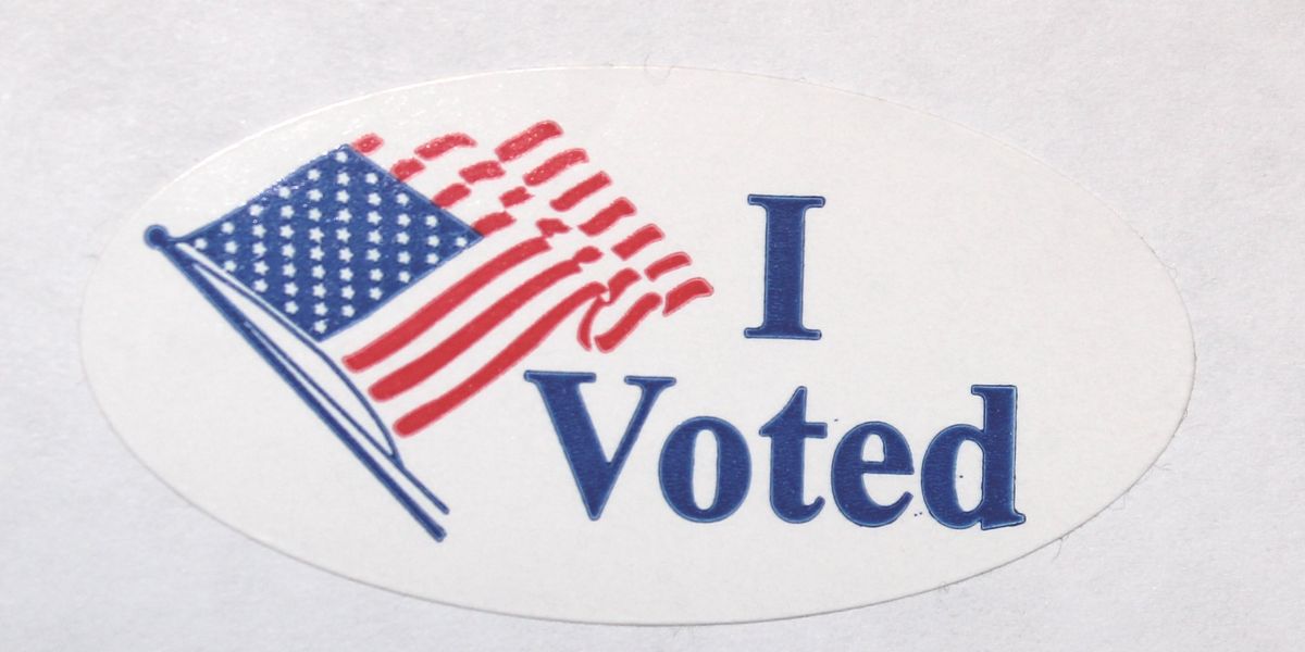 I voted sticker