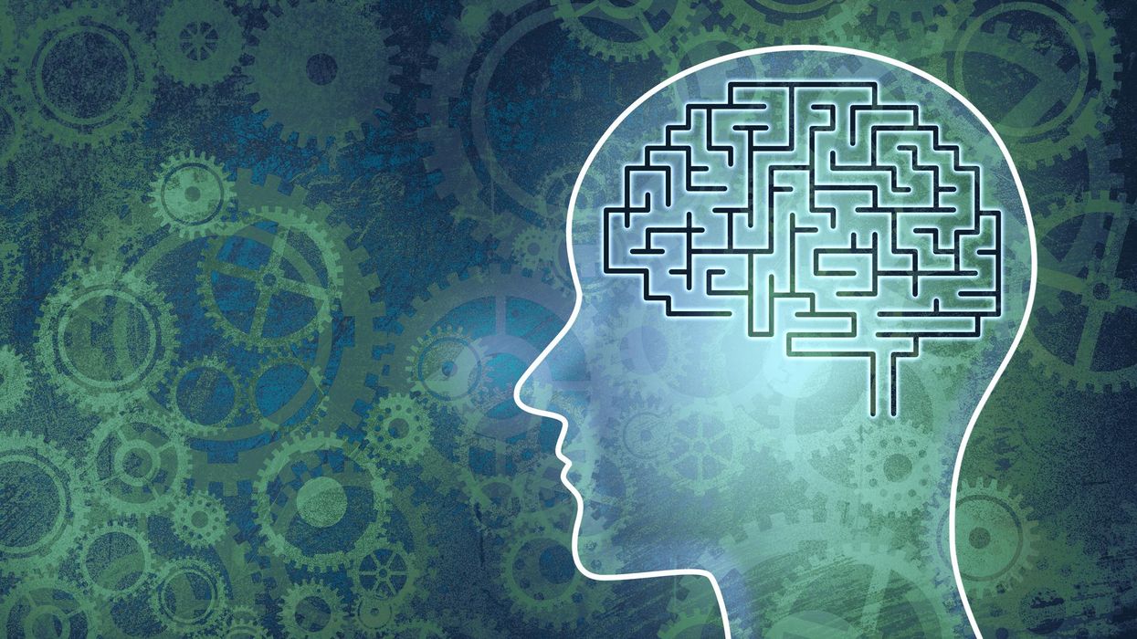 Mindfulness and elected leaders