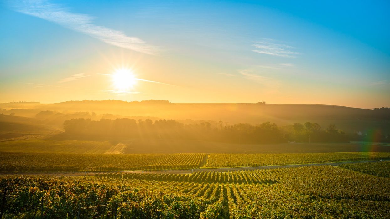 Hope, Champagne, and the Courage To Celebrate in Turbulent Times