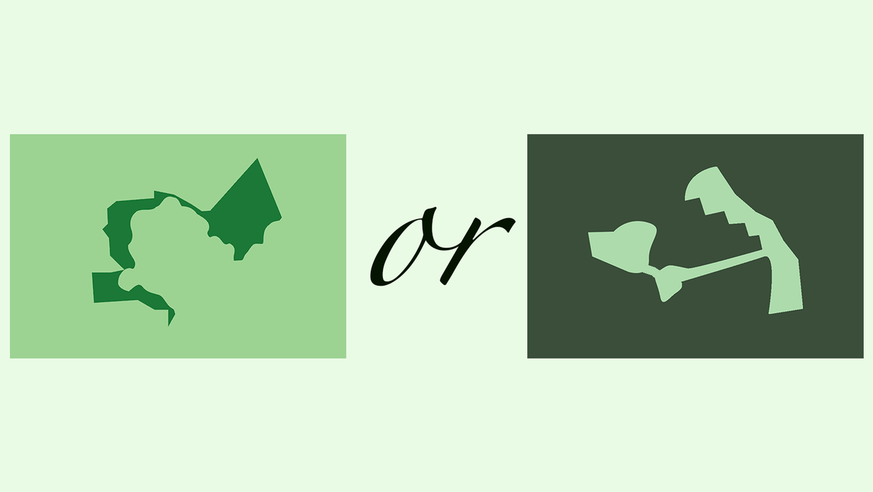 Can you spot the gerrymandered congressional district?