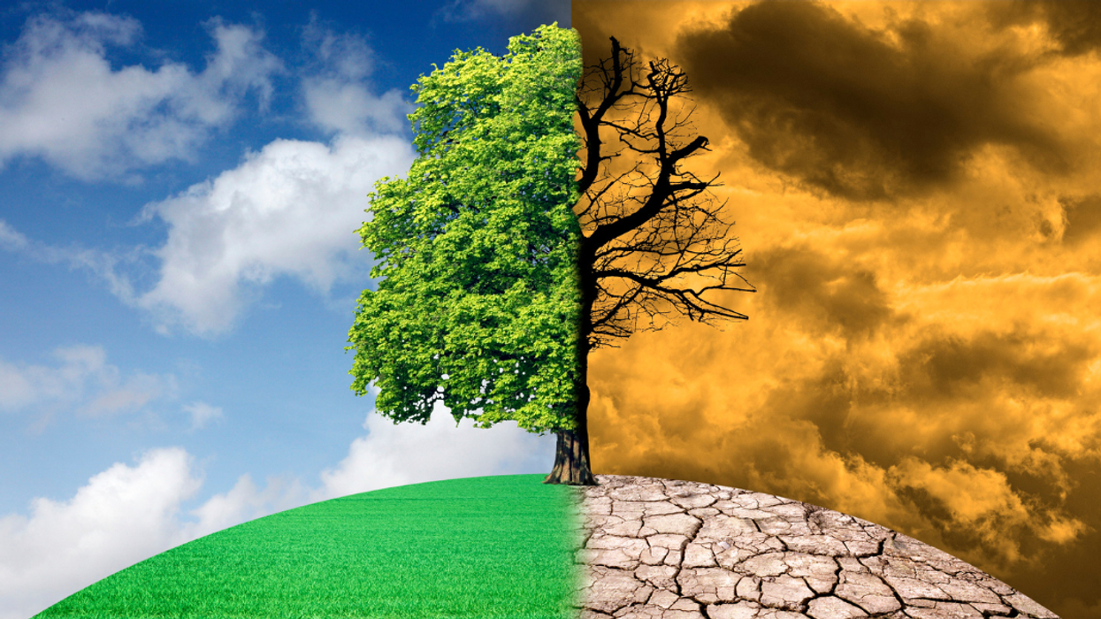 Climate adaptation needs to be locally led; tech can help