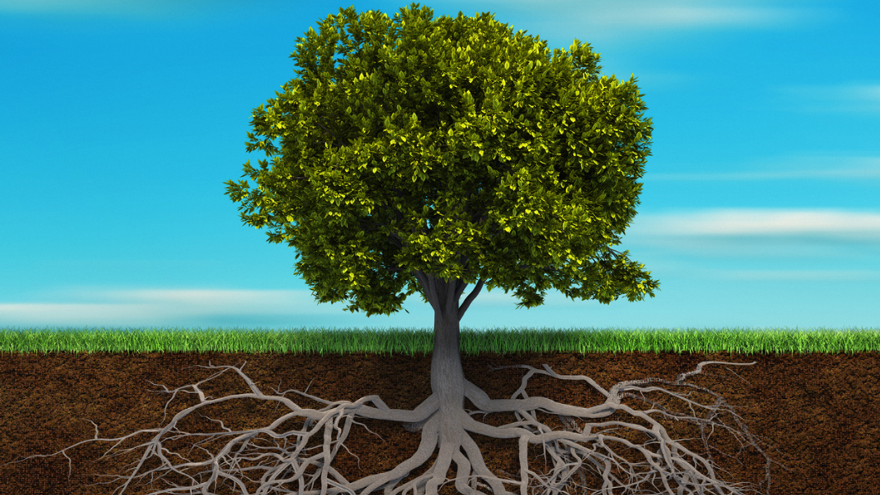 Becoming the (healthy) fungus among us