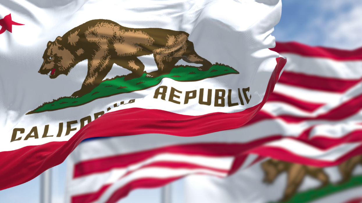 Why are we building a new party in California?