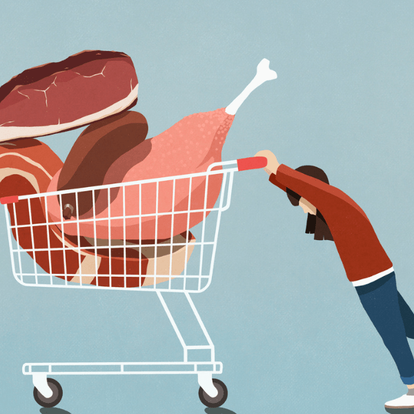 An easy congressional fix can help families in the SNAP program