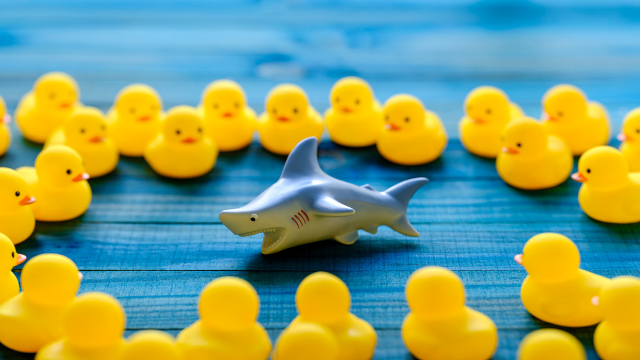 Power v. rule of law