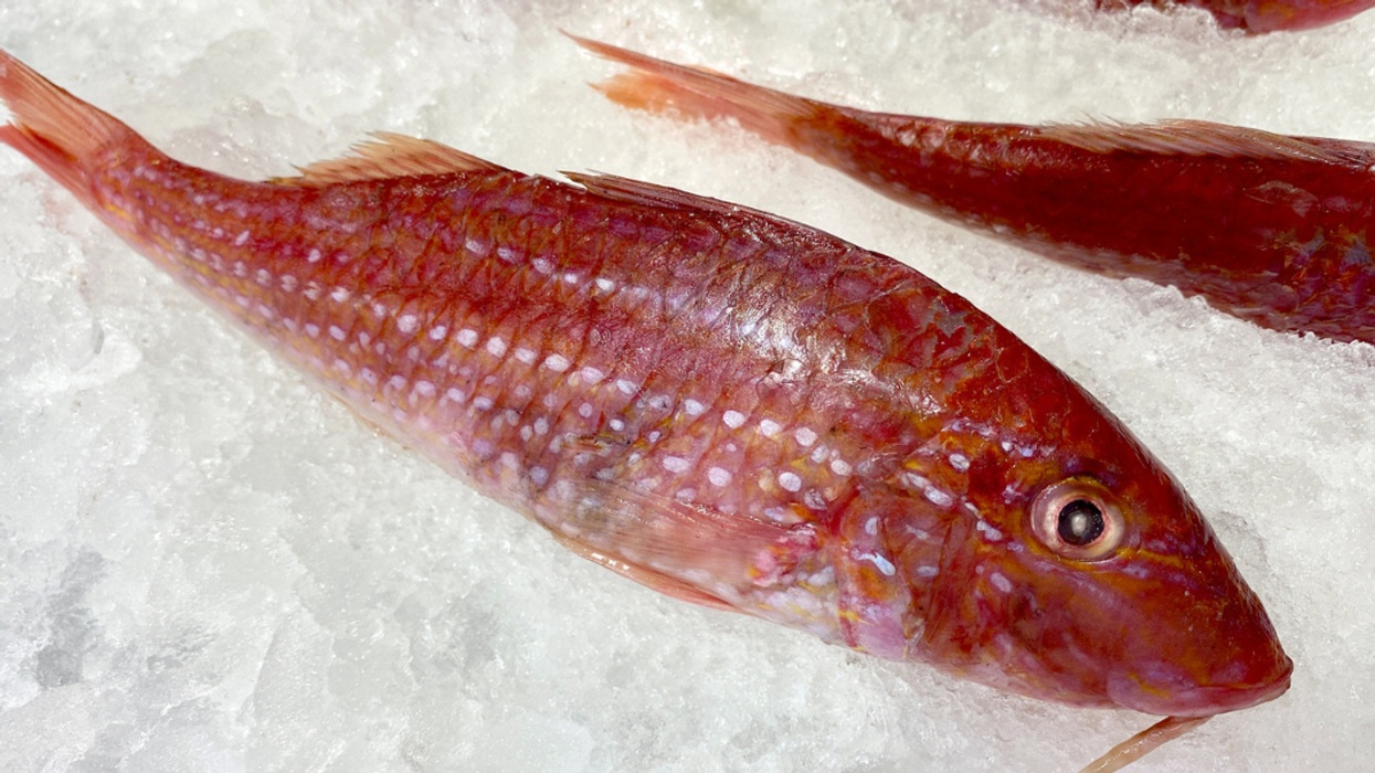 Moving beyond divisiveness: Building a stronger republic