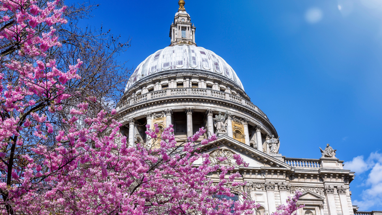 What really are “special interests” in Washington - and how they influence Congress