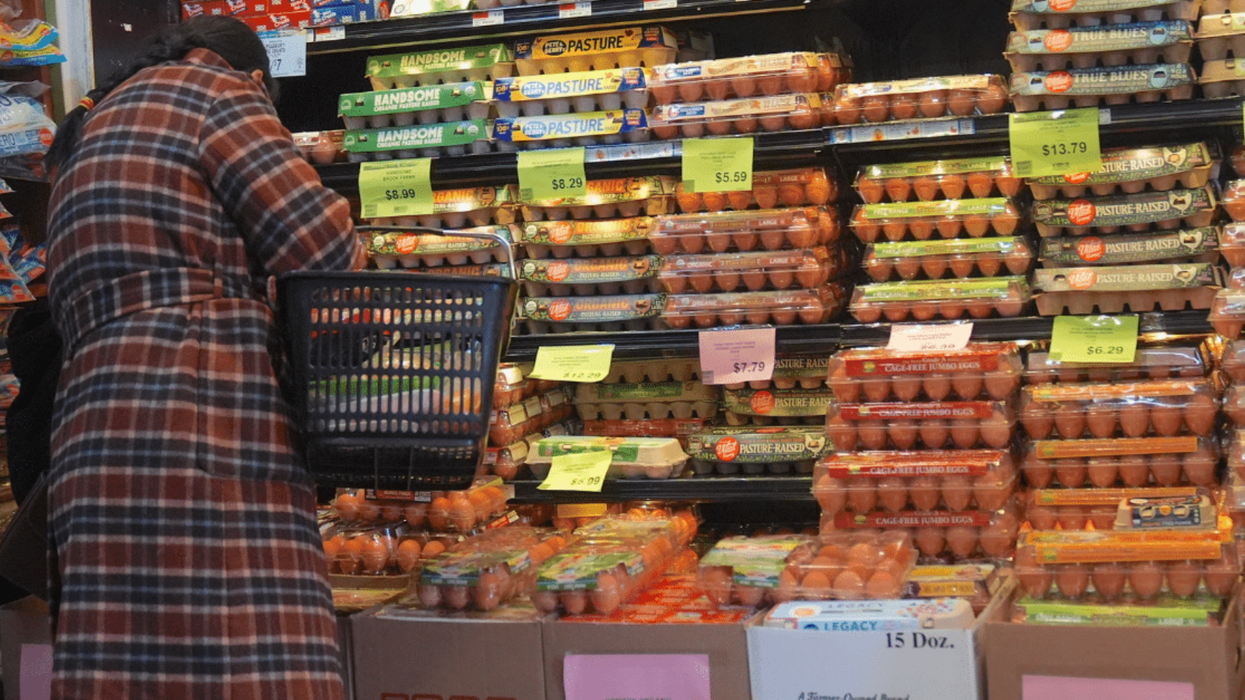 Trump’s Plan to Lower Egg Prices, Explained