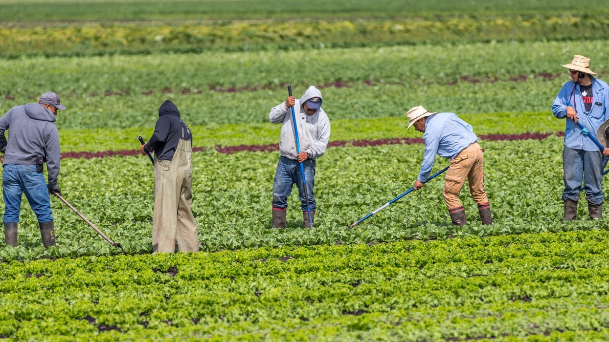 As Trump policy changes loom, nearly half of farmworkers lack legal status