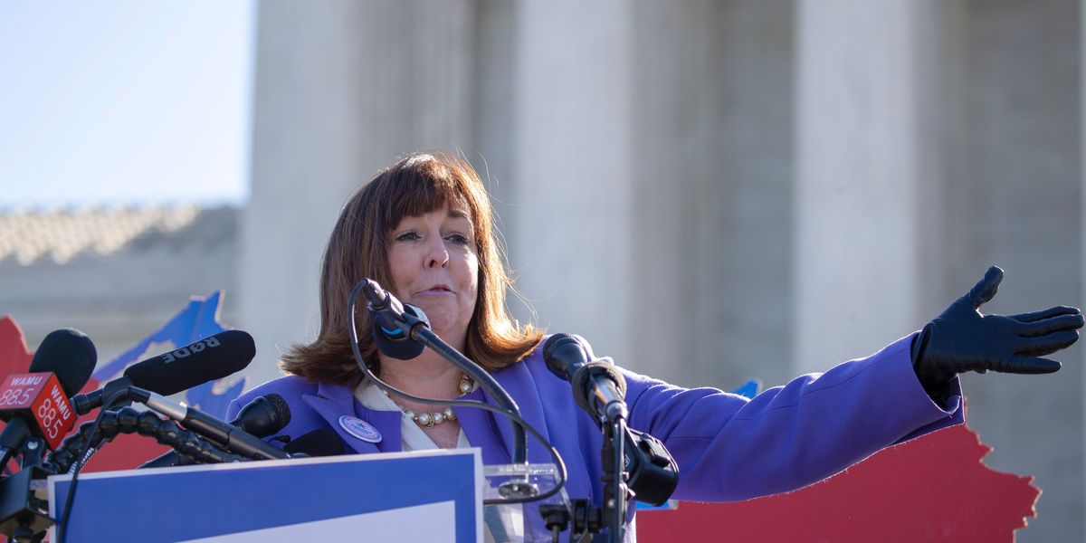 Democracy groups rally to defend independent redistricting in Michigan