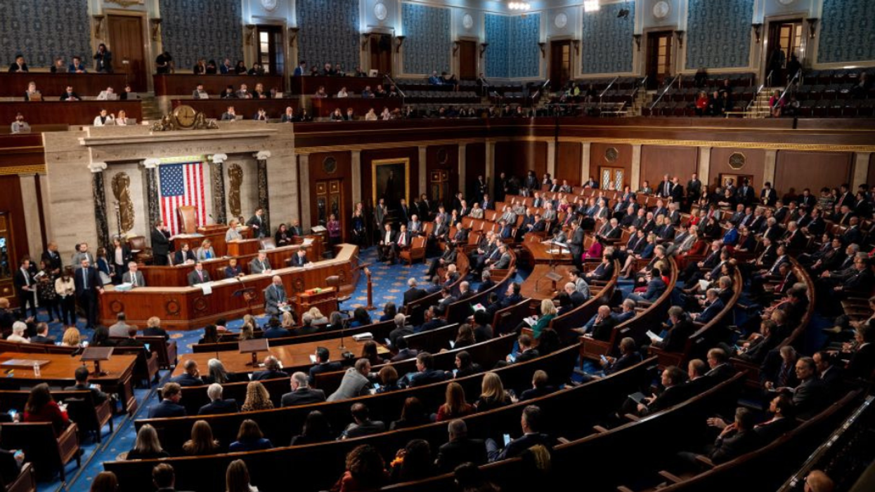 Too Much Democracy?