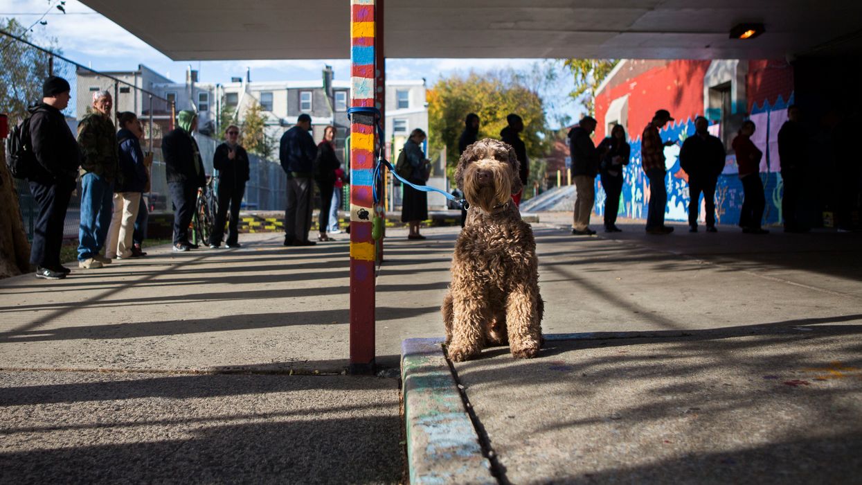 Pennsylvania voters stand in a long line