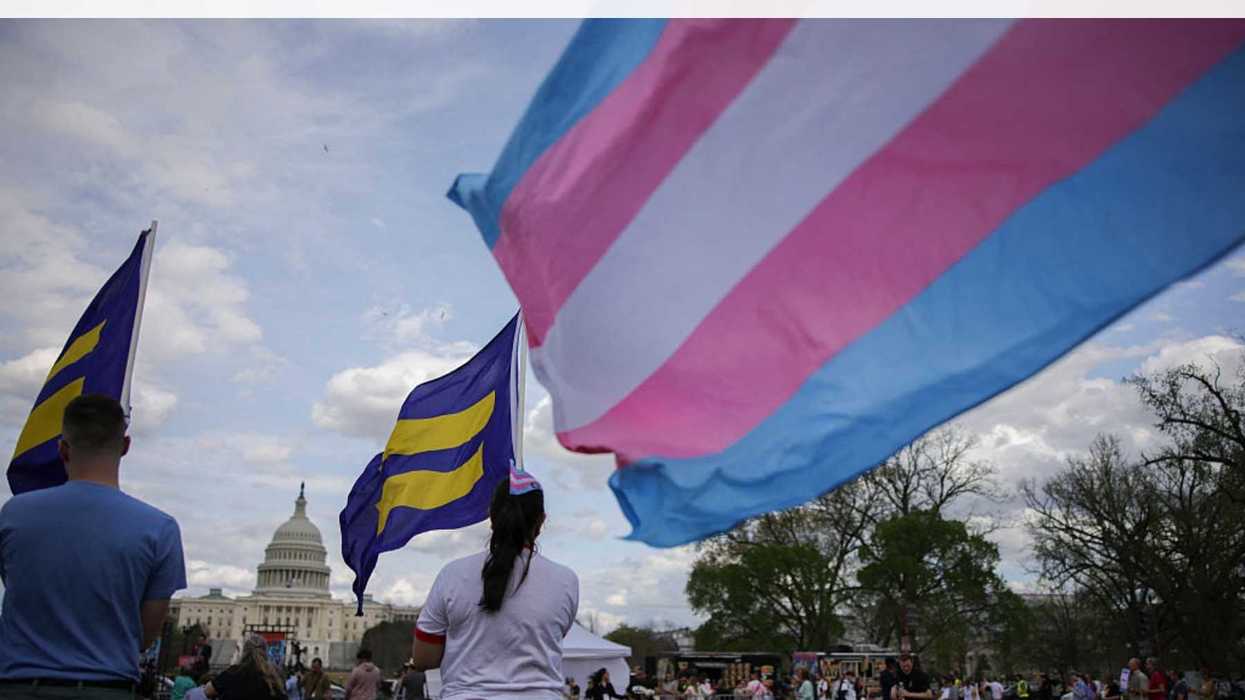 Why LGBTQ+ People No Longer Believe Democracy Is Working