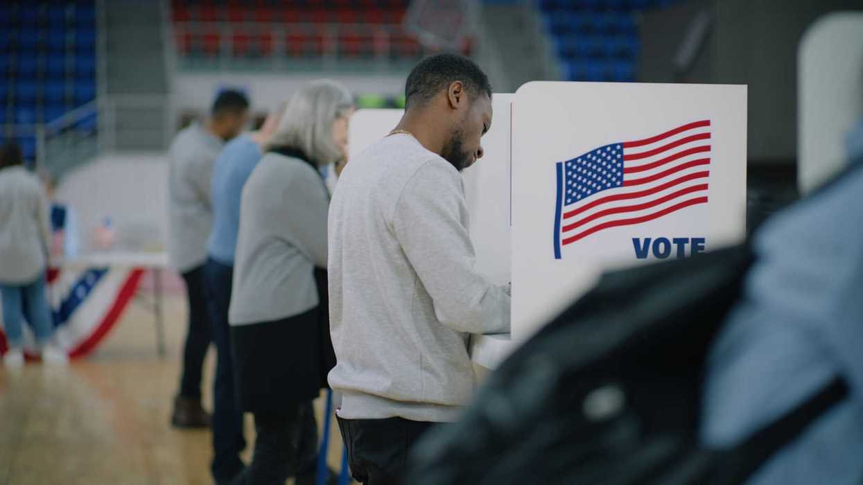 People standing at voting booths.
